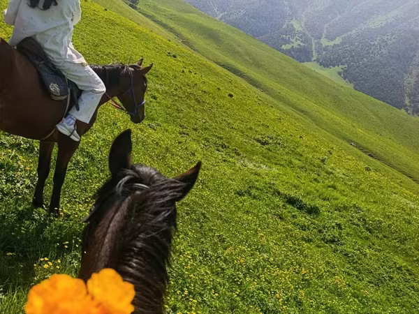 آبرادین-آنگوس