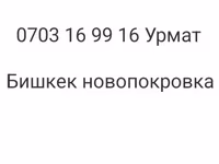 Owca, Owce — zdjęcie 7