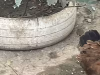 براهما — الصورة 7