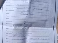 Byk, Aberdeńsko-anguska — zdjęcie 1