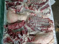 Baran, Rhon sheep — zdjęcie 2